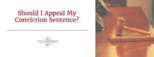 Appeal Conviction Sentence